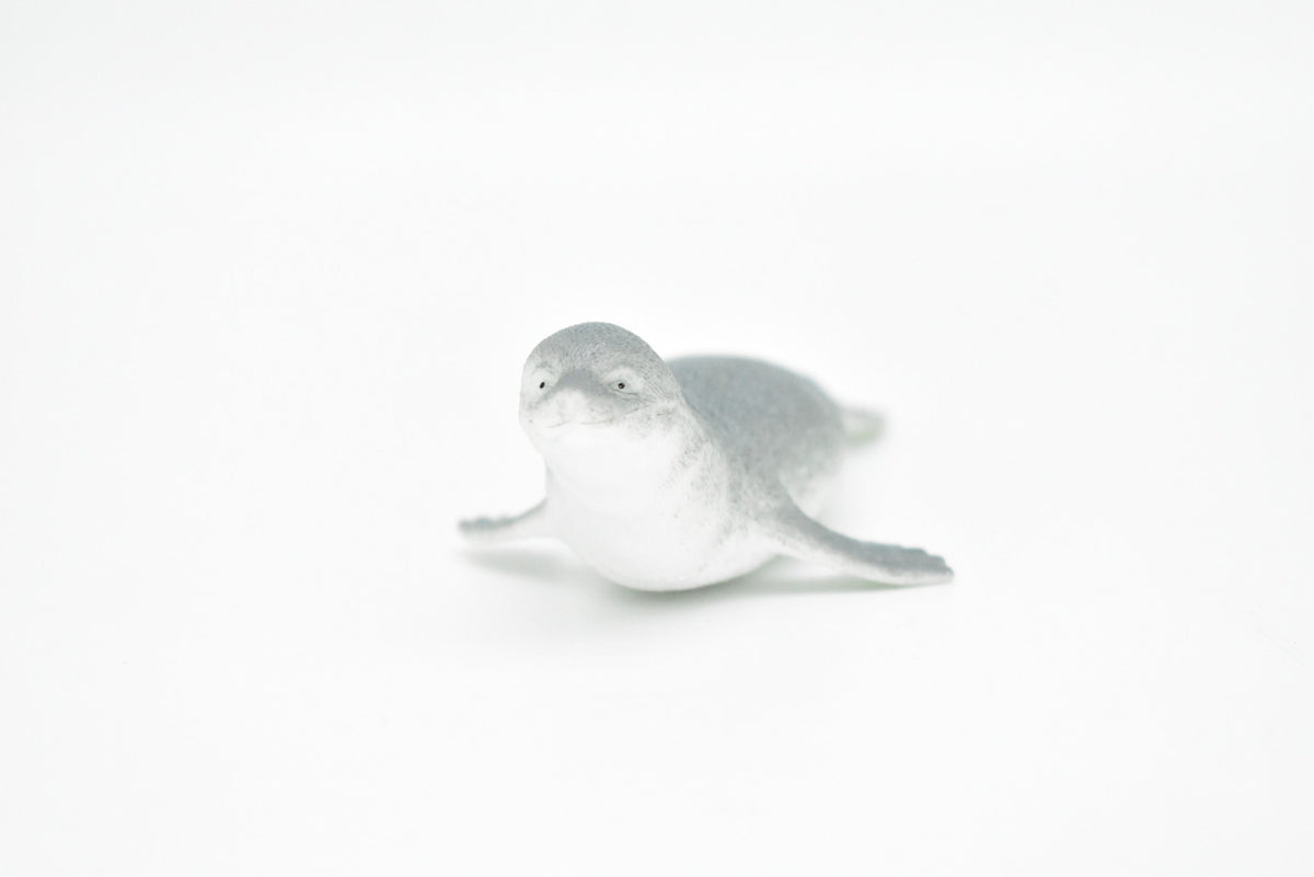 Seal, Monk, Very Nice Rubber Replica     4 1/2"     F6012-B377
