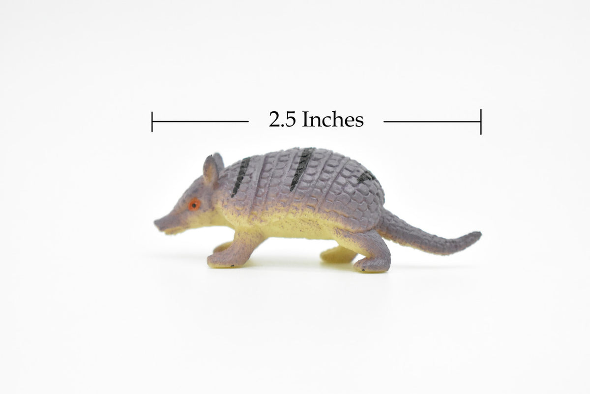 Armadillo, Cingulata, Dasypodidae, Very Nice Plastic Design, Animal, Pichi, Mulita, Educational, Hand Painted, Diorama Figure, Lifelike Model, Toy, 2 1/2 inches. 