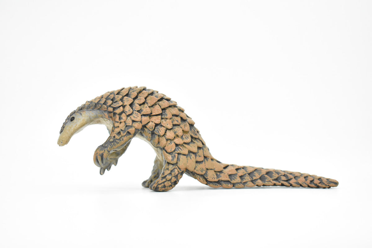 Pangolin, Scaly Anteaters, Museum Quality, Hand Painted, Educational, Rubber Animal, Realistic Toy Figure, Diorama Model, Kids,  7 Inches.