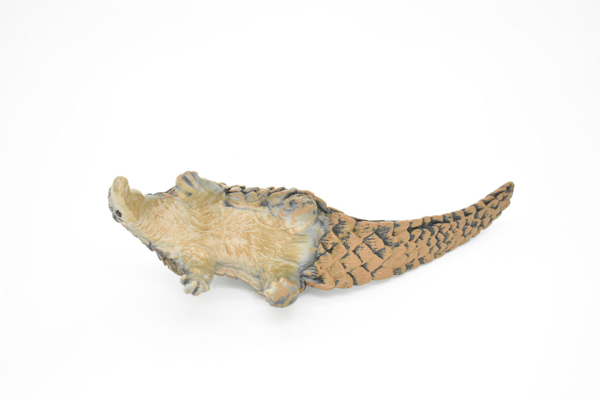 Pangolin, Scaly Anteaters, Museum Quality, Hand Painted, Educational, Rubber Animal, Realistic Toy Figure, Diorama Model, Kids, Gift,    7 Inches.   CH114 BB93