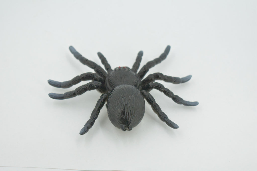Spider, Tarantula, Theraphosidae, Solid Rubber Arachnids, Educational, Toy, Kids, Realistic Figure, Lifelike Model, Figurine, Replica, Gift,      4"     ABC16 B263