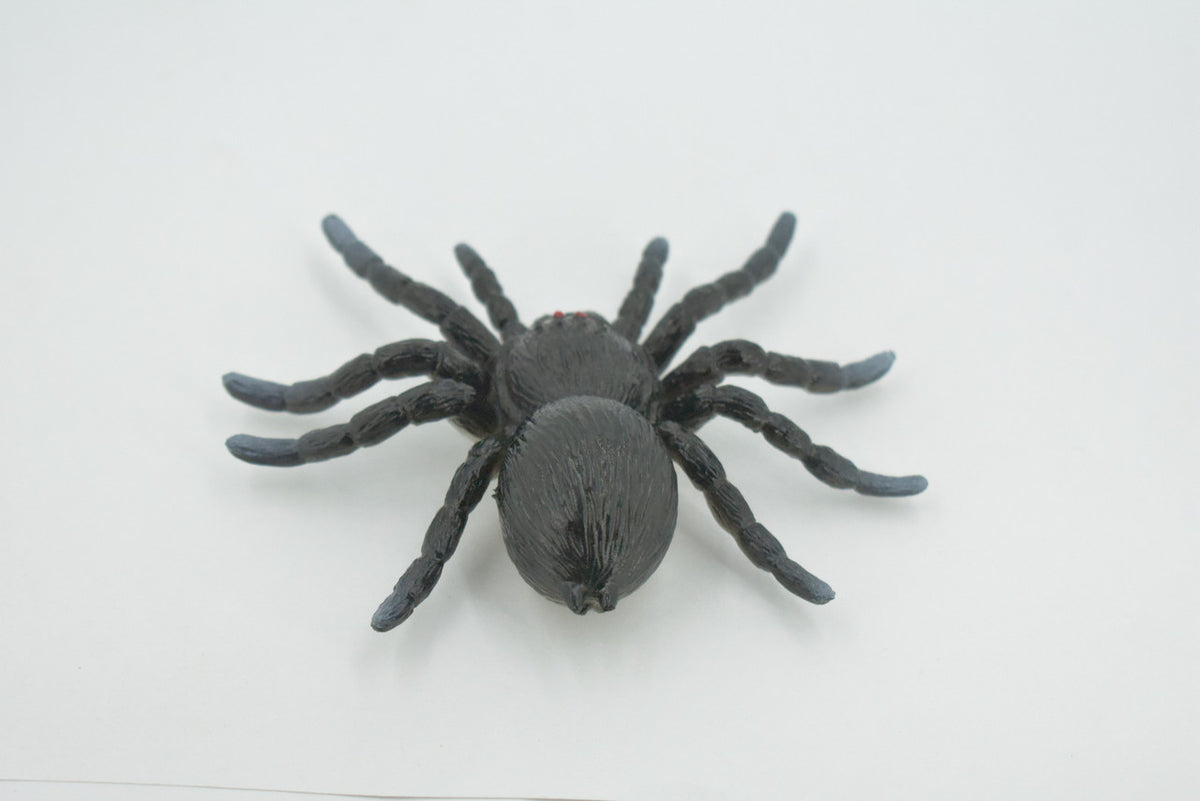 Spider, Tarantula, Theraphosidae, Solid Rubber Arachnids, Educational, Toy, Kids, Realistic Figure, Lifelike Model, Figurine, Replica, Gift,      4"     ABC16 B263