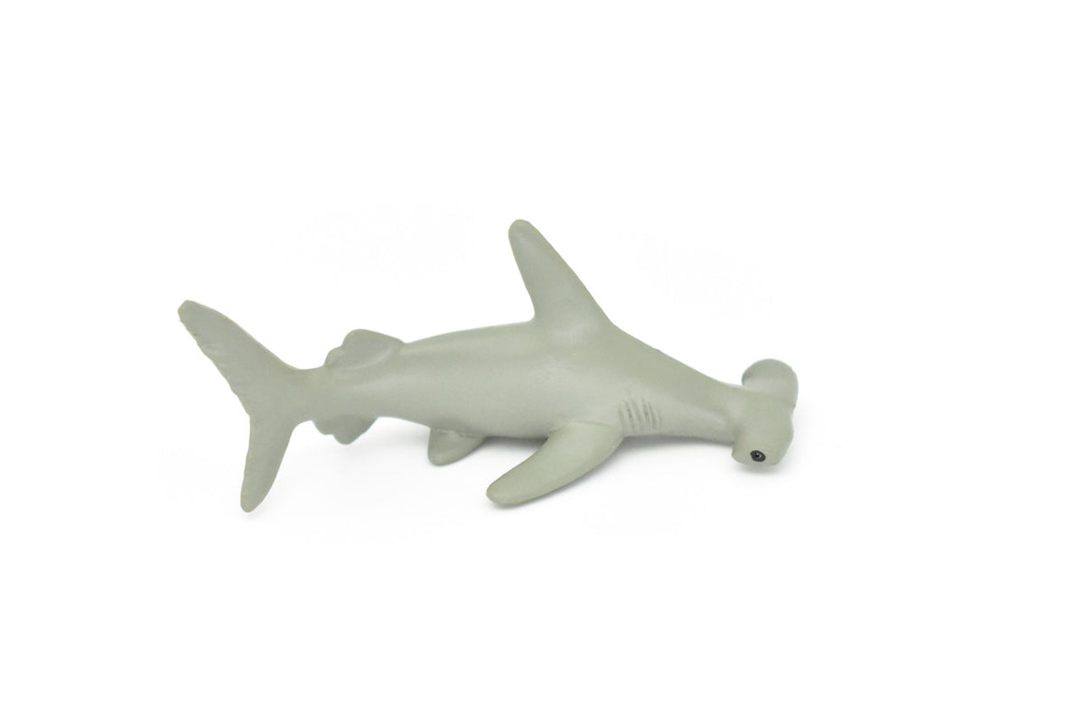 Hammerhead Shark, Curved Very Nice Plastic Replica   2 1/2"   ~   F7034-B54