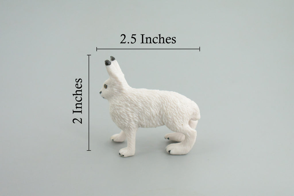 Rabbit, Arctic Hare, Hand Painted, Museum Quality, Rubber Animal, Educational, Realistic, Figure, Toy, Kids, Replica, Gift, 2 1/2 Inches. CH876 BB199