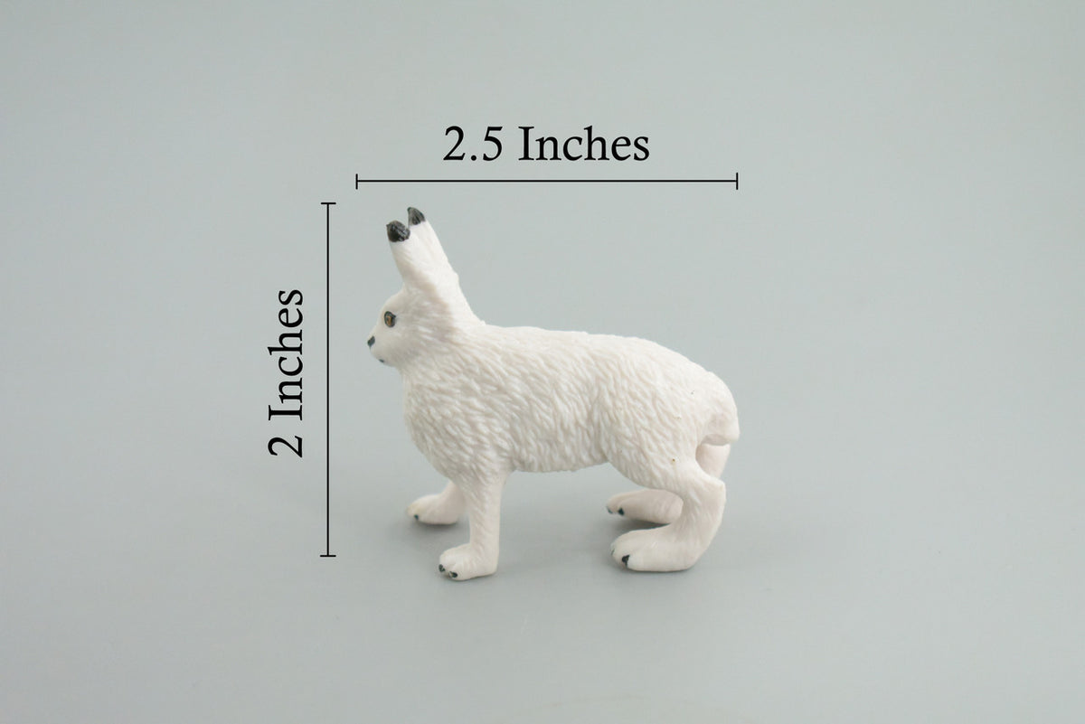 Rabbit, Arctic Hare, Hand Painted, Museum Quality, Rubber Animal, Educational, Realistic, Figure, Toy, Kids, Replica, Gift, 2 1/2 Inches. CH876 BB199