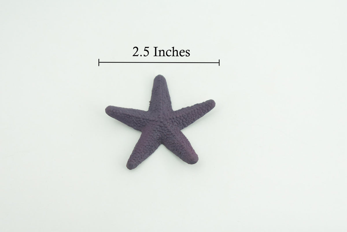 Starfish, Purple, Sea Star, Ocean Asteroidea, Marine invertebrates, Educational, Realistic, Model, Replica, Toys, Kids, Gift, 2 1/2 Inches. CWG49 B197