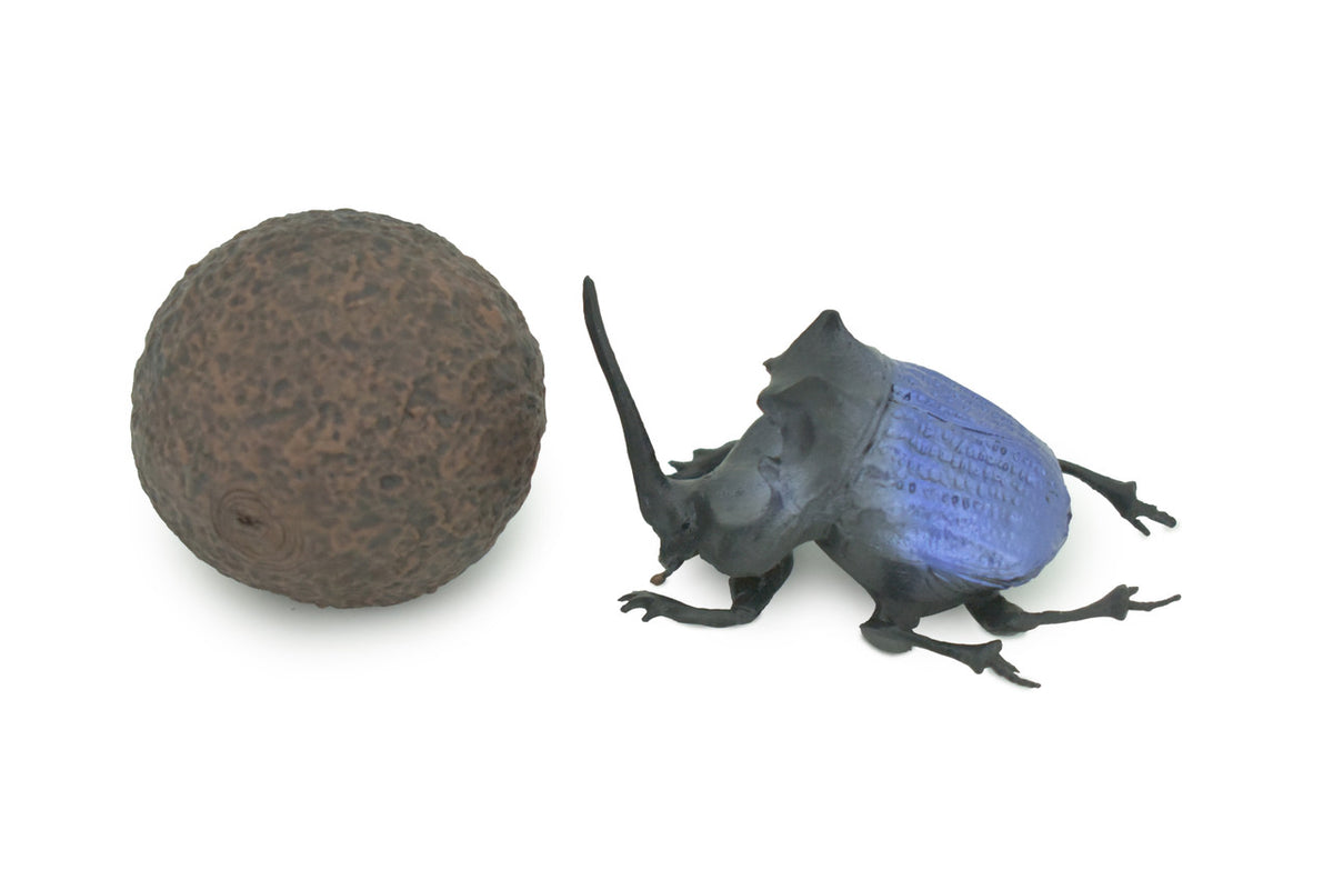Dung Beetle, Poop, Scarabaeoidea, 2 pieces,  Museum Quality, Hand Painted, Rubber Gastropod, Realistic Toy, Figure, Model, Replica, Kids, Educational, Gift, 5"  CH296 BB180
