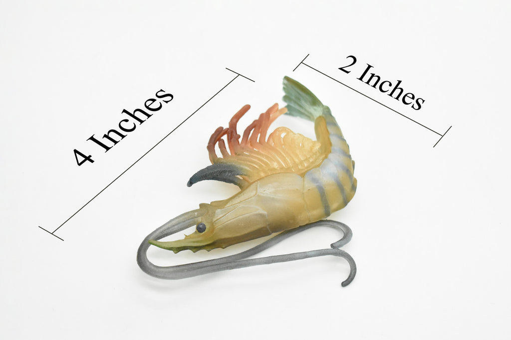 Shrimp, Prawn, Tiger Shrimp, Museum Quality, Hand Painted, Rubber Crustaceans, Realistic Toy Figure, Model, Replica, Kids, Educational, Gift,      4"      CH083 BB82