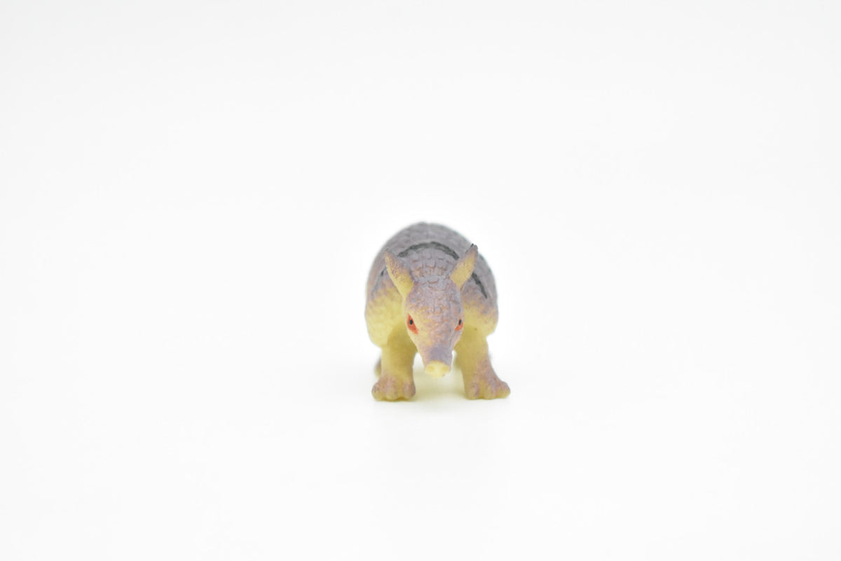 Armadillo, Cingulata, Dasypodidae, Very Nice Plastic Design, Animal, Pichi, Mulita,Educational, Hand Painted, Diorama Figure, Lifelike Model, Toy, Gift,   2 1/2 inches.   CWG105 B237