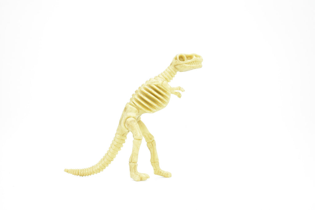 Tyrannosaurus rex, T. Rex, Dinosaur,  Bones one-piece skeleton replica    6"   F3291 B66
