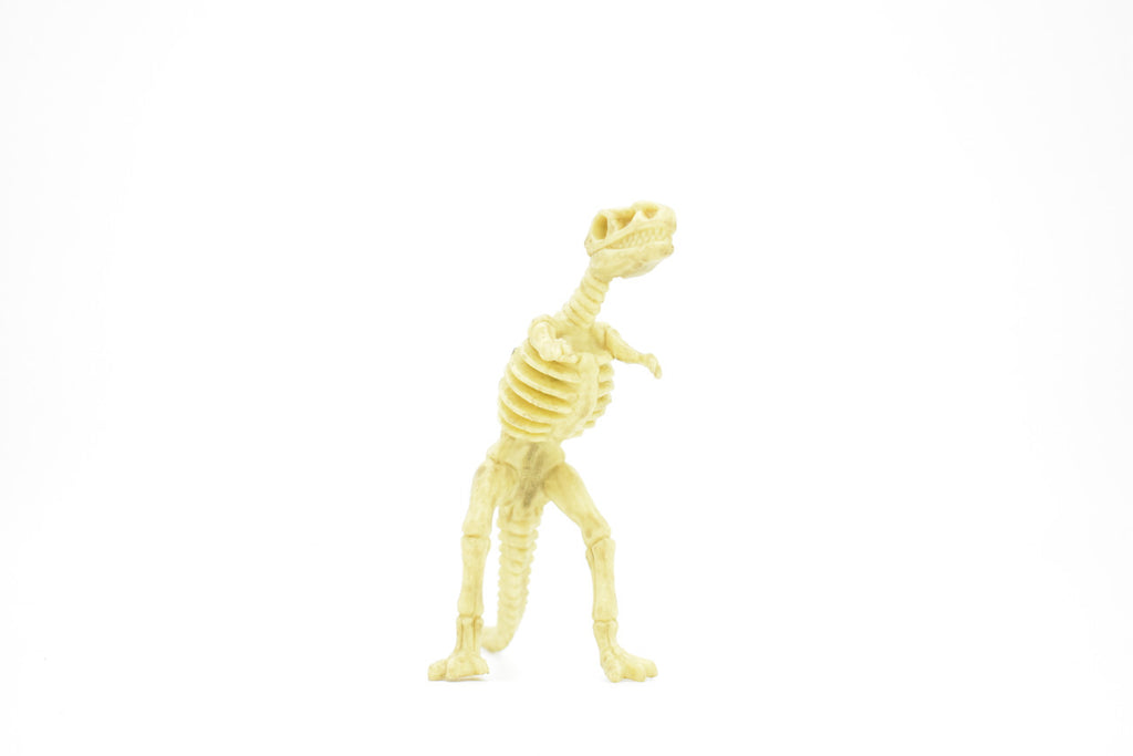 Tyrannosaurus rex, T. Rex, Dinosaur,  Bones one-piece skeleton replica    6"   F3291 B66