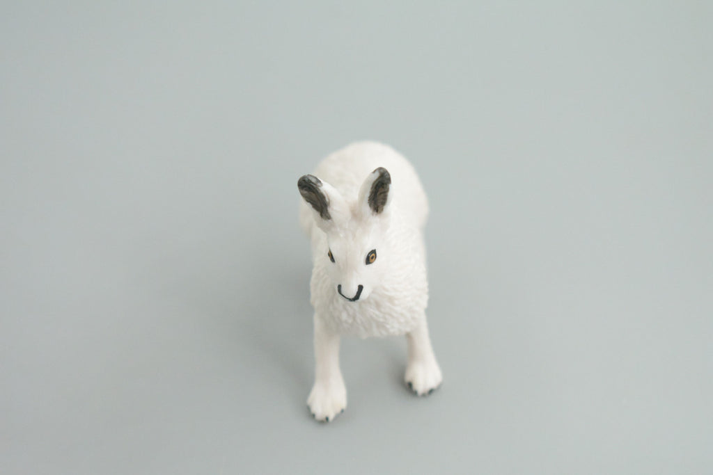 Rabbit, Arctic Hare, Hand Painted, Museum Quality, Rubber Animal, Educational, Realistic, Figure, Toy, Kids, Replica, Gift,    2 1/2 Inches.  CH876 BB199