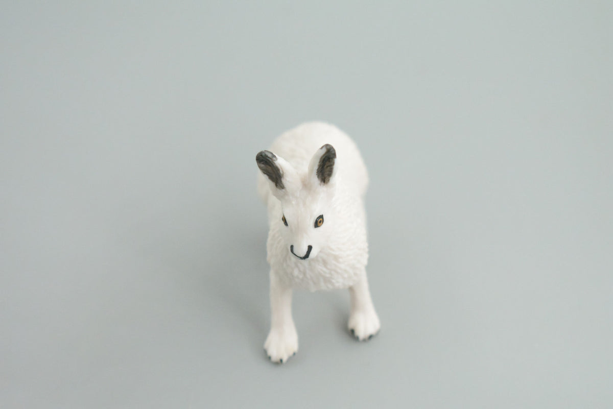 Rabbit, Arctic Hare, Hand Painted, Museum Quality, Rubber Animal, Educational, Realistic, Figure, Toy, Kids, Replica, Gift,    2 1/2 Inches.  CH876 BB199