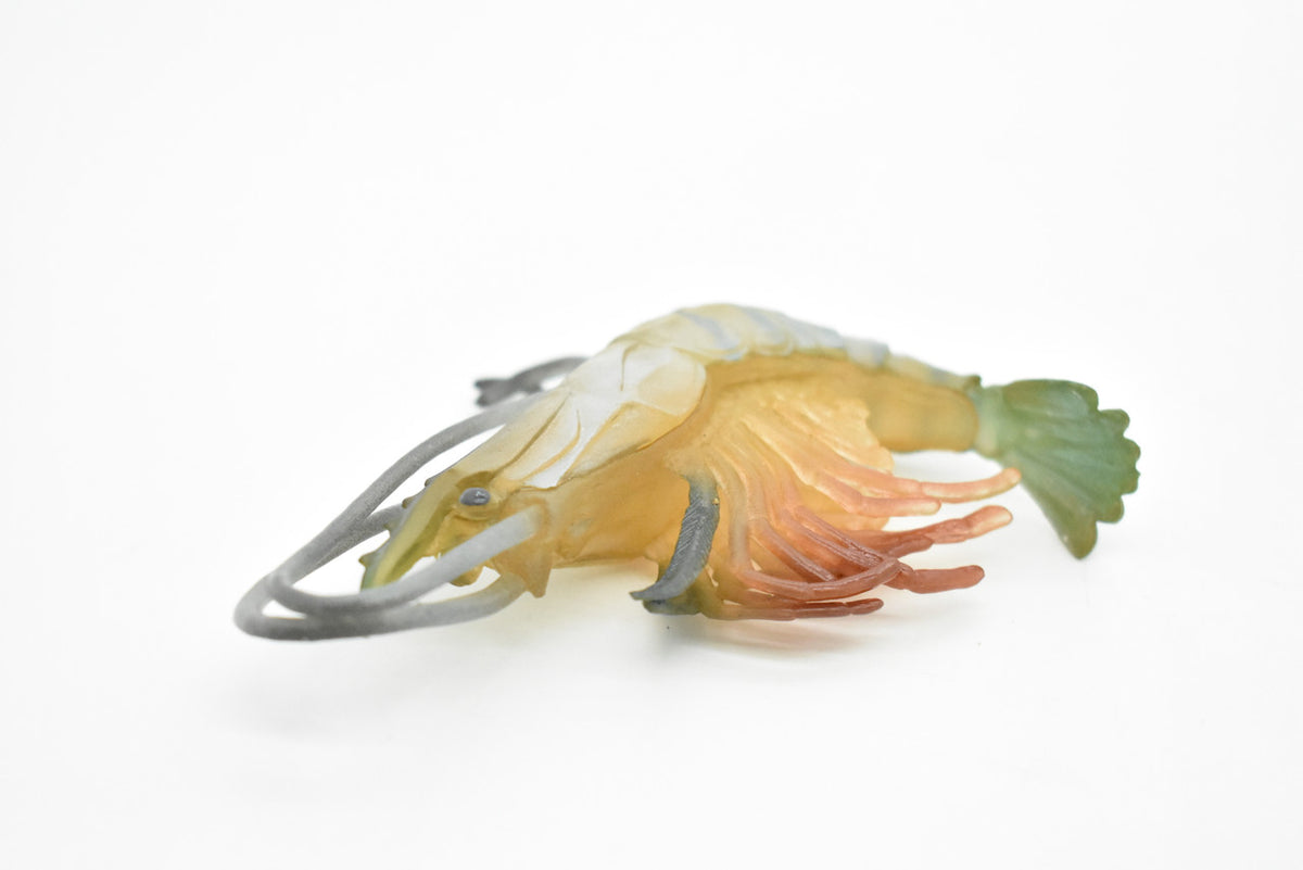 Shrimp, Prawn, Tiger Shrimp, Museum Quality, Hand Painted, Rubber Crustaceans, Realistic Toy Figure, Model, Replica, Kids, Educational, Gift,      4"      CH083 BB82