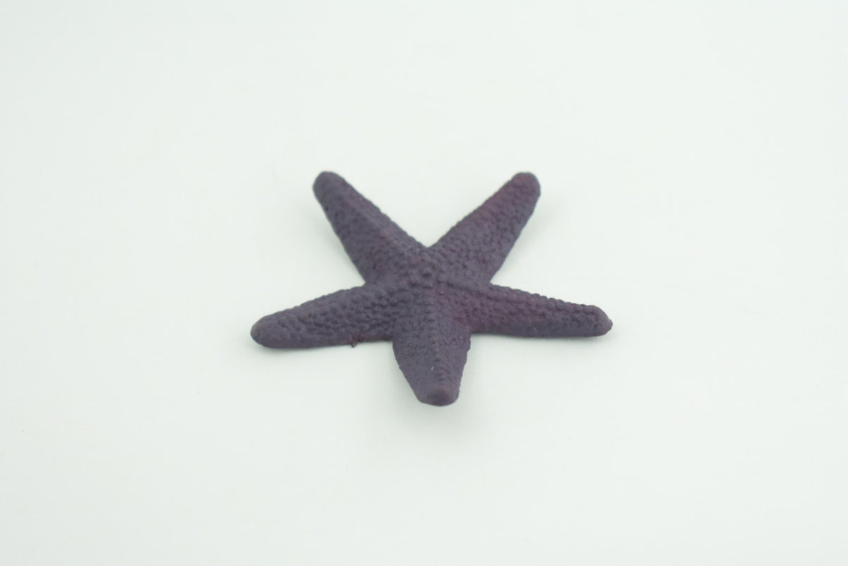 Starfish, Purple, Sea Star, Ocean Asteroidea, Marine invertebrates, Educational, Realistic, Model, Replica, Toys, Kids, Gift,   2 1/2 Inches.    CWG49 B197
