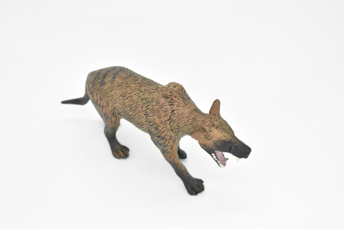 Tasmanian Tiger, Thylacine, Tasmanian wolf, Museum Quality, Hand Painted, Educational, Rubber Animal, Realistic Toy Figure, Diorama Model, Kids,  7 Inches.
