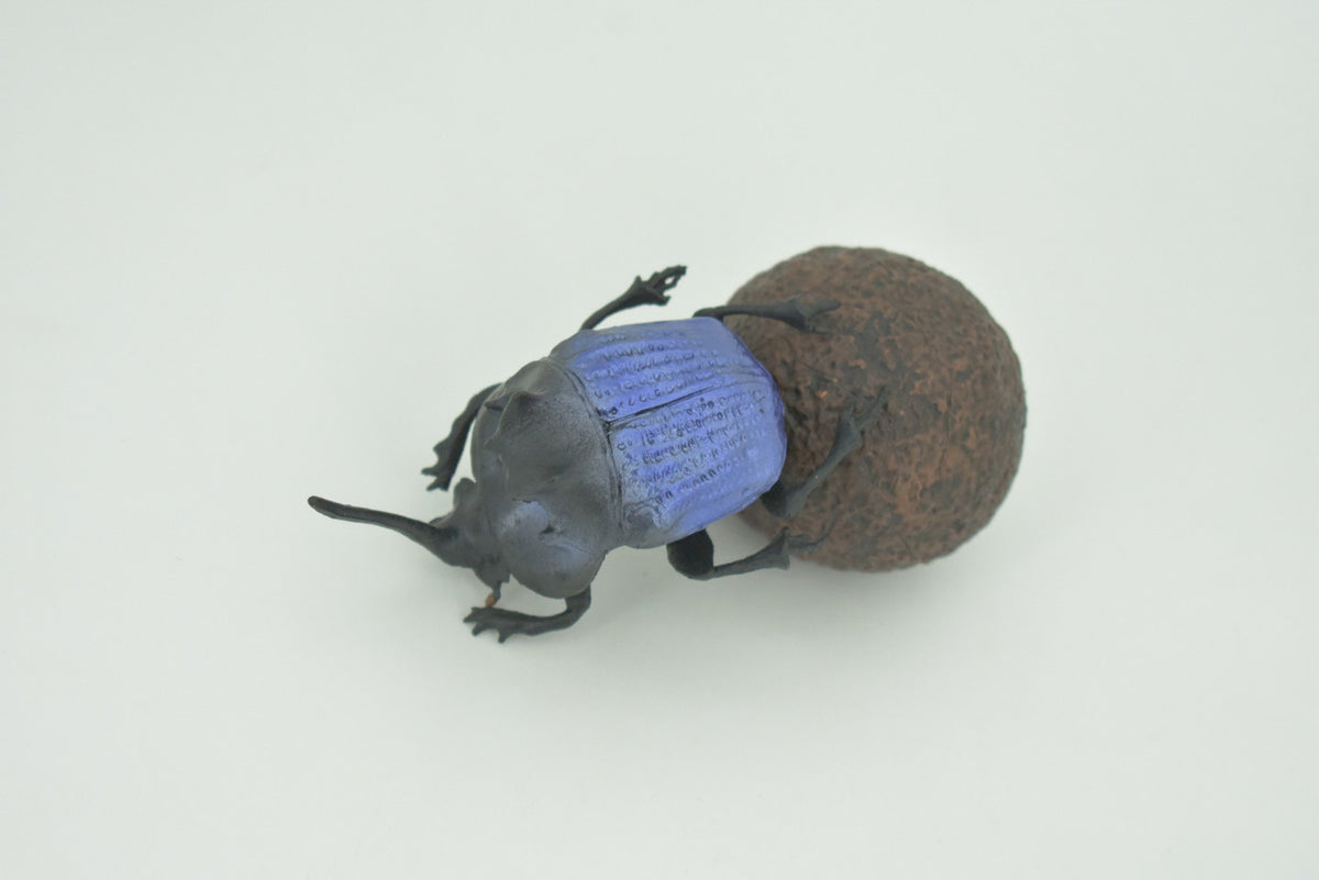 Dung Beetle, Poop, Scarabaeoidea, 2 pieces,  Museum Quality, Hand Painted, Rubber Gastropod, Realistic Toy, Figure, Model, Replica, Kids, Educational, Gift, 5"  CH296 BB180