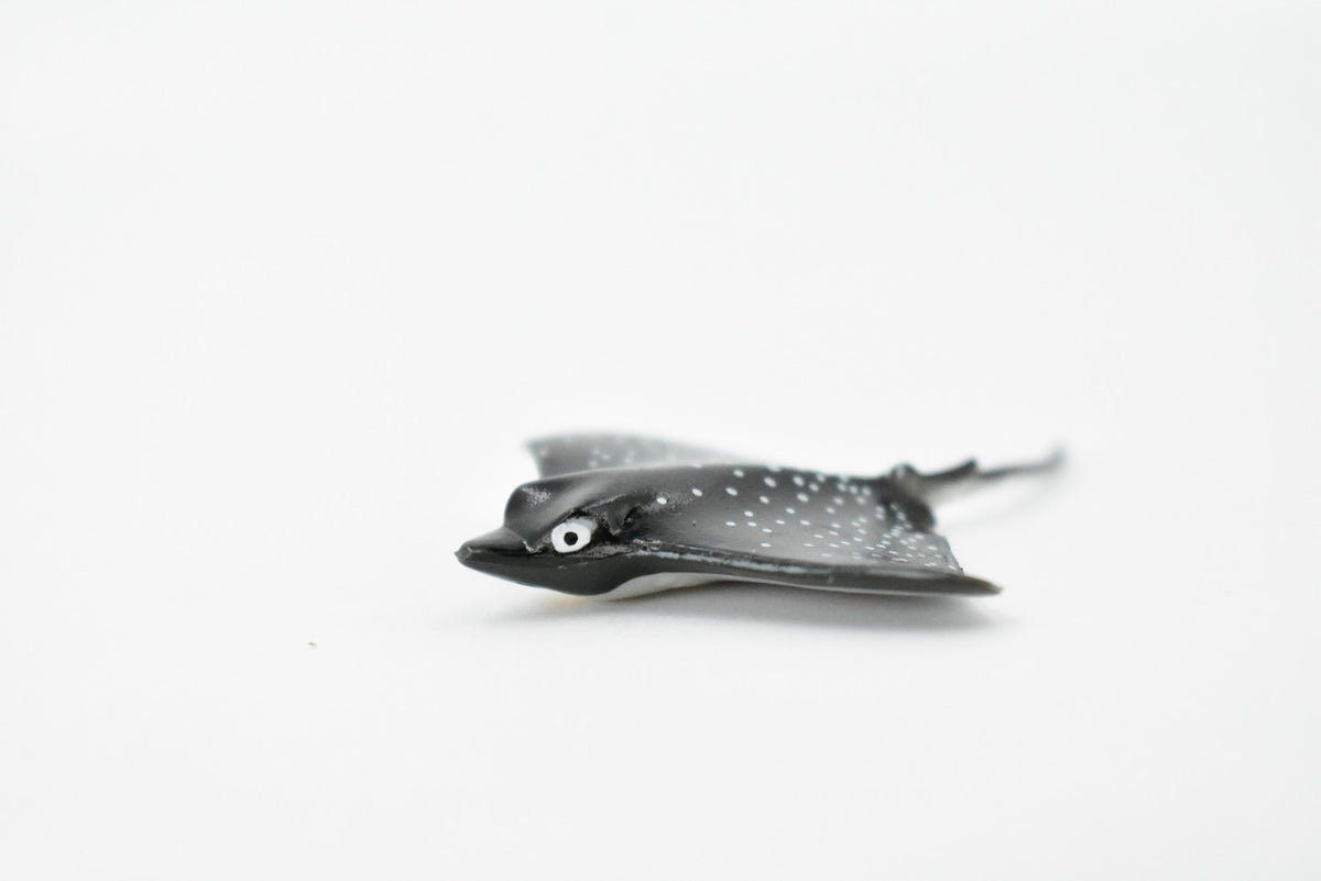Spotted Eagle Ray, Duckbill ray, or Bonnet skate, Rubber Fish, Realistic Toy Figure, Diorama Model, Replica, Kids, Educational Design, Gift,    2 1/2 Inches.     CH439 BB109