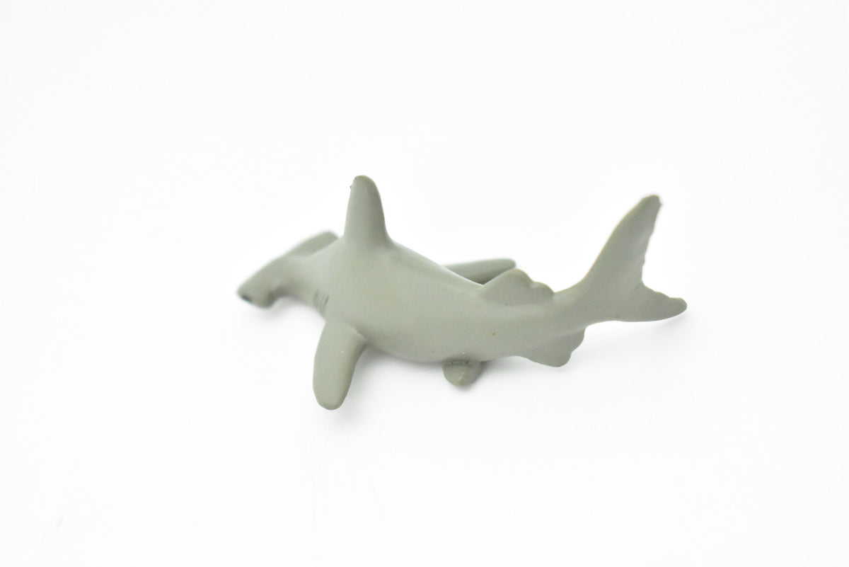 Hammerhead Shark, Curved Very Nice Plastic Replica   2 1/2"   ~   F7034-B54