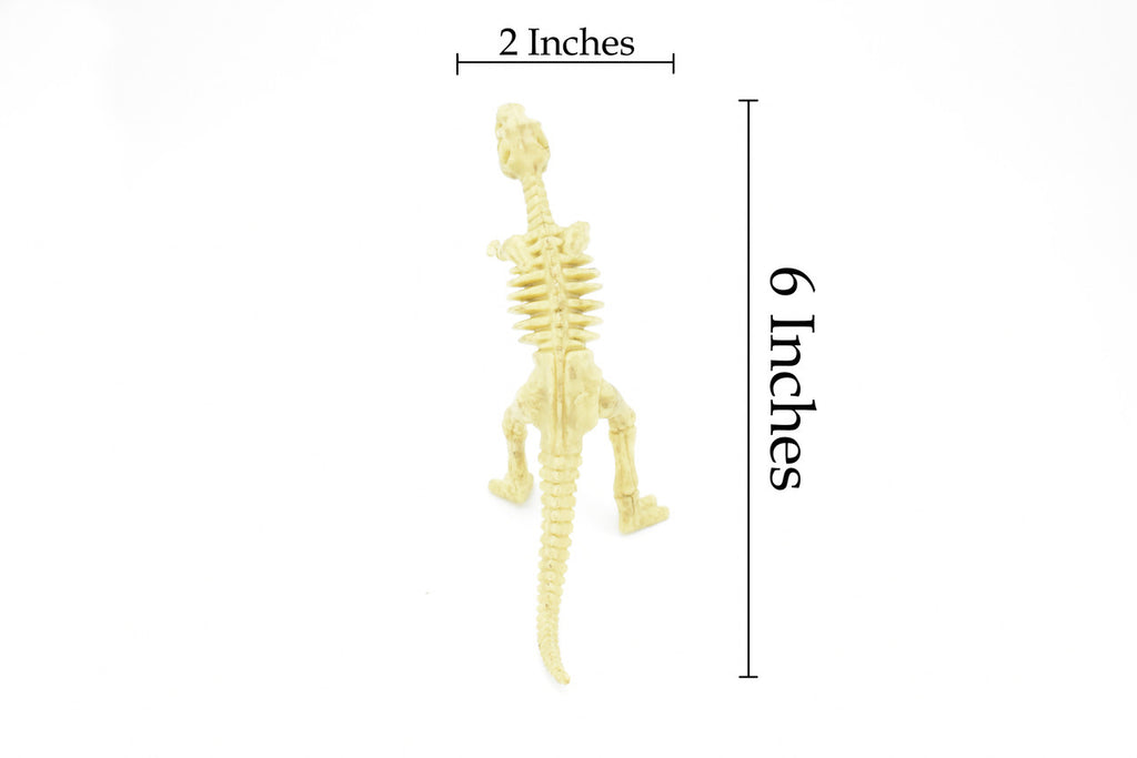 Tyrannosaurus rex, T. Rex, Dinosaur,  Bones one-piece skeleton replica    6"   F3291 B66