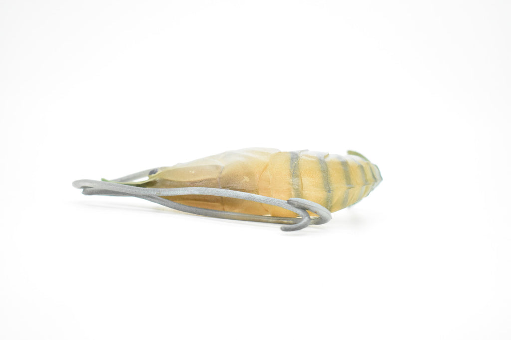 Shrimp, Prawn, Tiger Shrimp, Museum Quality, Hand Painted, Rubber Crustaceans, Realistic Toy Figure, Model, Replica, Kids, Educational, Gift,      4"      CH083 BB82