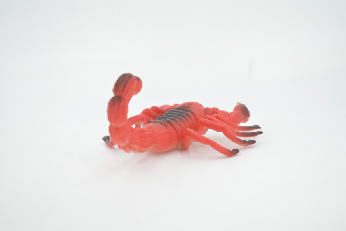 Scorpion, Mammoth, Solid Rubber Arachnids, Educational, Toy, Kids, Realistic Figure, Lifelike Model, Figurine, Replica, Gift,     5"     ABC14 B263