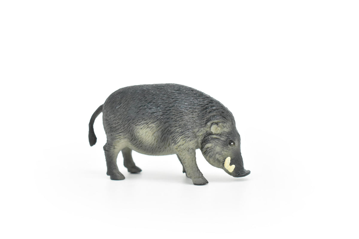 Boar, Wild Pig, Feral hog, Razorback, Javelina Pig, Very Nice Plastic Design, American Animal, Educational, Hand Painted, Diorama Figure, Lifelike Model, Toy,  3 inches. 