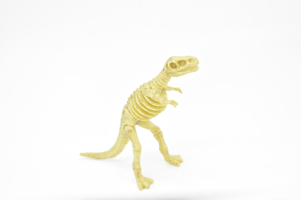 Tyrannosaurus rex, T. Rex, Dinosaur,  Bones one-piece skeleton replica    6"   F3291 B66