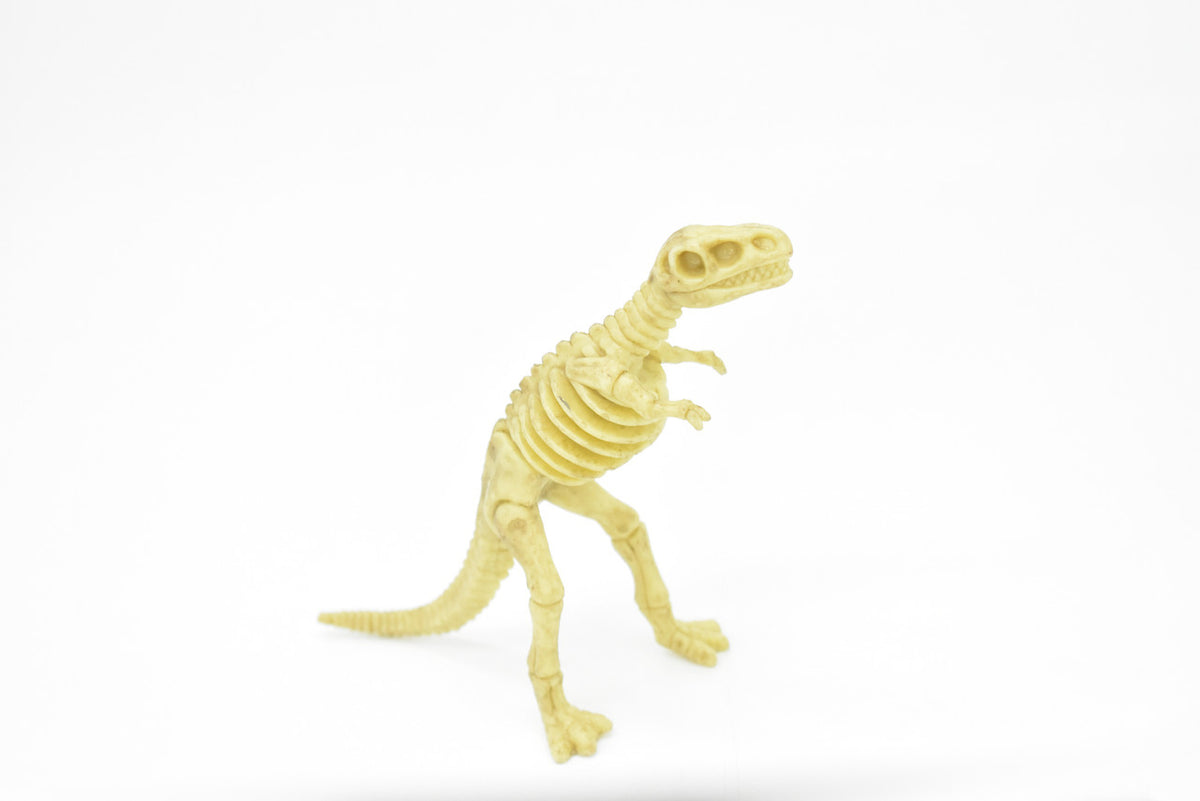 Tyrannosaurus rex, T. Rex, Dinosaur,  Bones one-piece skeleton replica    6"   F3291 B66