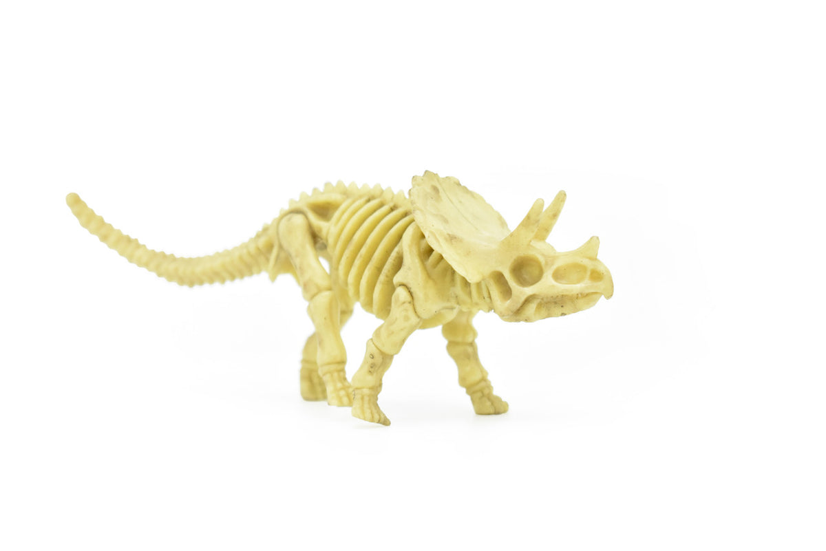 Triceratops Dinosaur, Bones one-piece skeleton replica   5 1/2"  -   F3287 B61