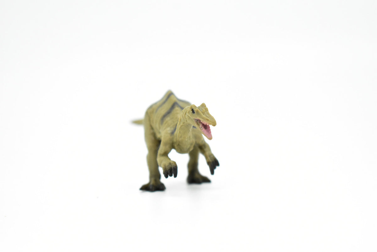 Baryonyx Dinosaur, Museum Quality, Animal, Educational, Realistic Hand Painted, Figure, Lifelike Model, Vintage Replica, Toy, Gift,    3 Inches.   F8116 B117