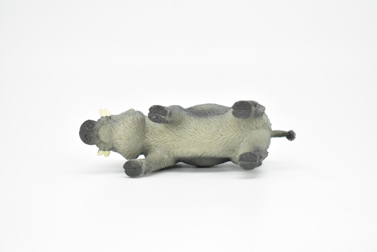 Boar, Wild Pig, Feral hog, Razorback, Javelina Pig, Very Nice Plastic Design, American Animal, Educational, Hand Painted, Diorama Figure, Lifelike Model, Toy, Gift,   3 inches.      CWG177 BB41