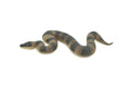 Snake, Puff Adder, Museum Quality, Hand Painted, Rubber Reptile, Realistic Figure, Model, Replica, Toy, Kids, Educational, Gift,     5"    CH526 BB158