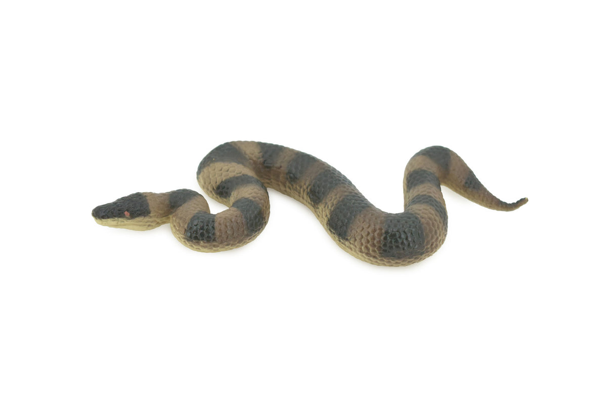 Snake, Puff Adder, Museum Quality, Hand Painted, Rubber Reptile, Realistic Figure, Model, Replica, Toy, Kids, Educational, Gift,     5"    CH526 BB158