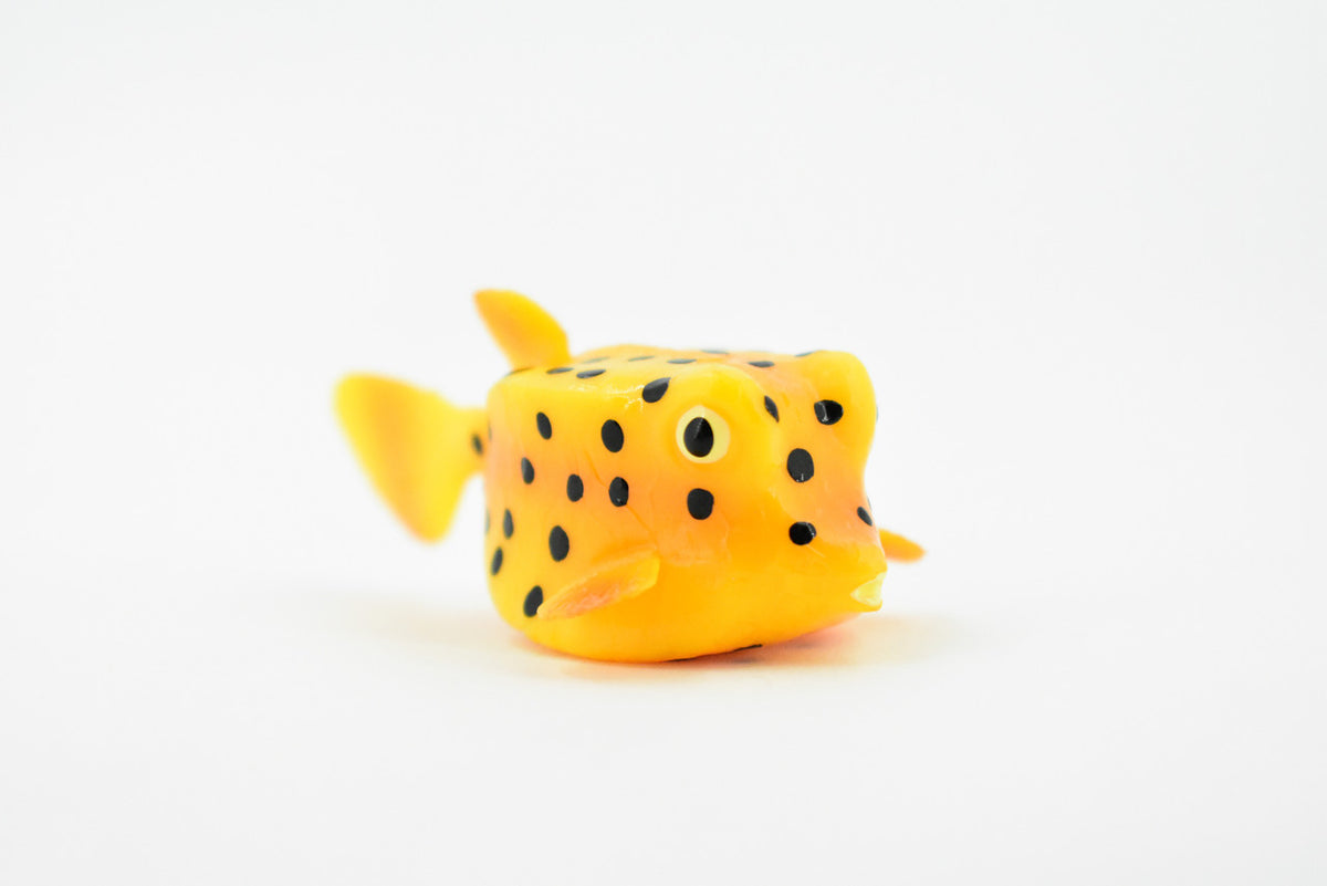 Trunkfish, Trunk Fish, Spotted, Rubber Fish, Museum Quality, Hand Painted, Realistic Toy Figure, Diorama Model, Replica, Kids, Educational, Gift,     2 Inches.    CH443 BB114