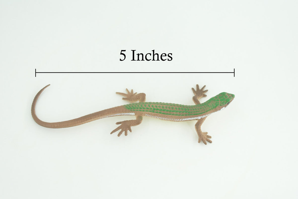 Spotted Whiptail Lizard, Green, Museum Quality, Educational, Hand Painted, Rubber Lizard, Realistic Reptile, Diorama, Toy, Kids, Gift, 5 Inches. CH804 BB188