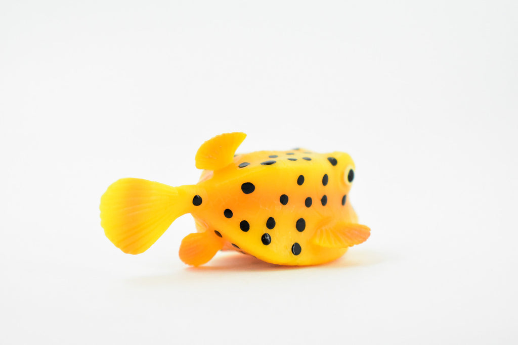 Trunkfish, Trunk Fish, Spotted, Rubber Fish, Museum Quality, Hand Painted, Realistic Toy Figure, Diorama Model, Replica, Kids, Educational,  2 Inches. 