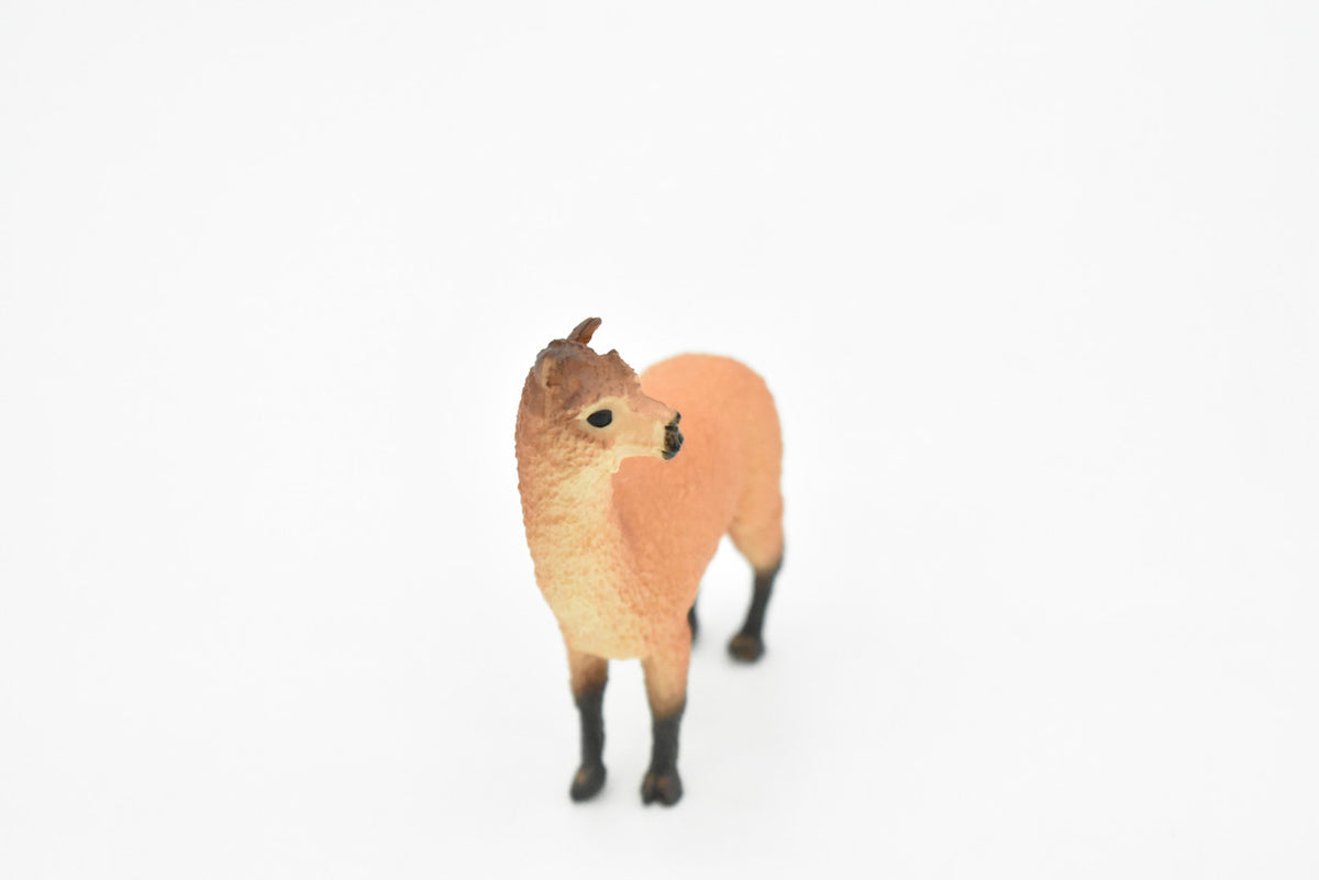 Alpaca, South American camelid, Very Realistic Hand Painted, Educational, Rubber Animal, Realistic Toy Figure, Diorama Model, Kids,  3 Inches. 