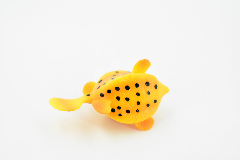 Trunkfish, Trunk Fish, Spotted, Rubber Fish, Museum Quality, Hand Painted, Realistic Toy Figure, Diorama Model, Replica, Kids, Educational, Gift,     2 Inches.    CH443 BB114