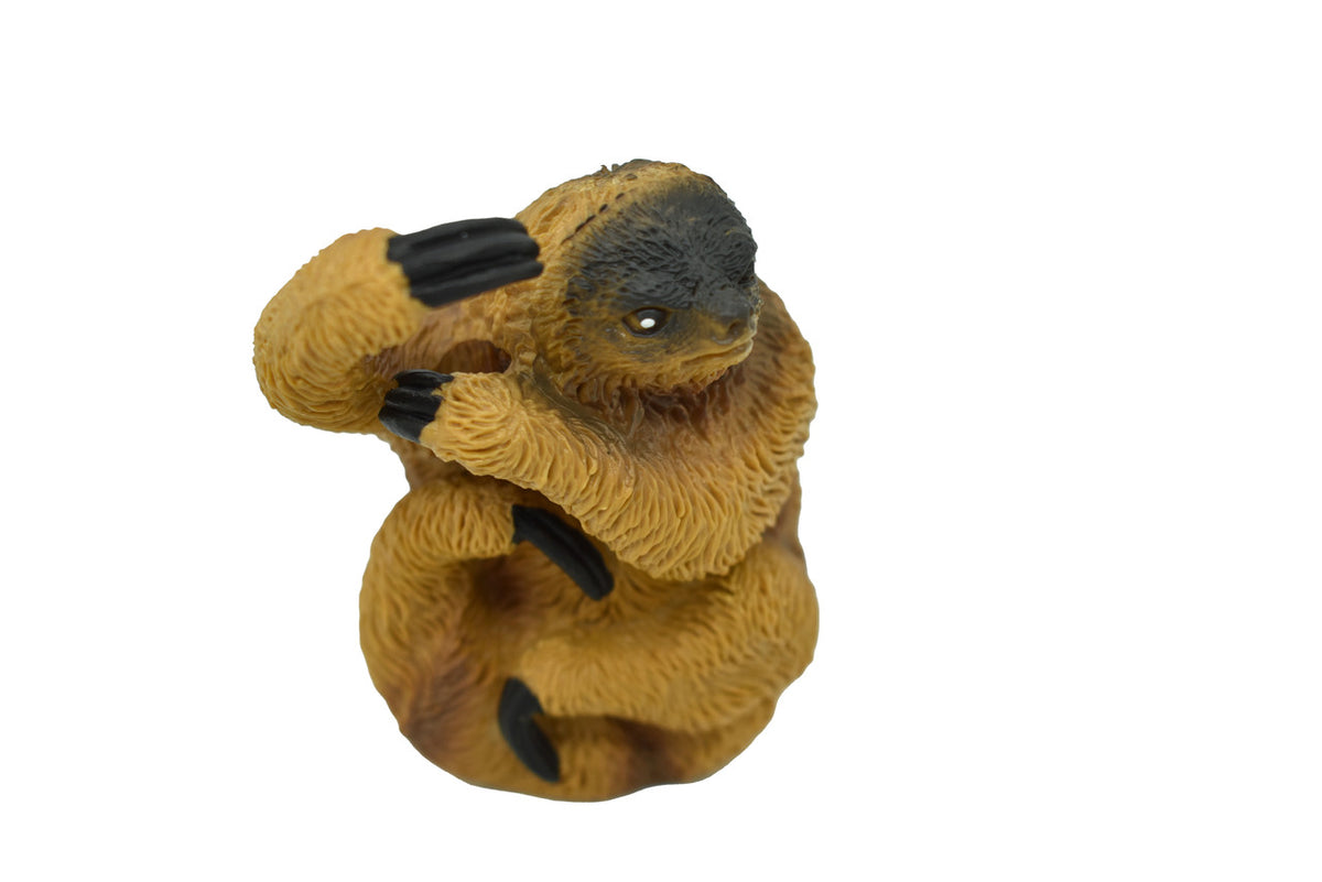 Sloth Three-toed, Bradypus, Very Nice Design, Hand Painted, Rubber Animal, Educational, Diorama Model, Realistic Figure, Figurine, Gift,  3 Inches. 