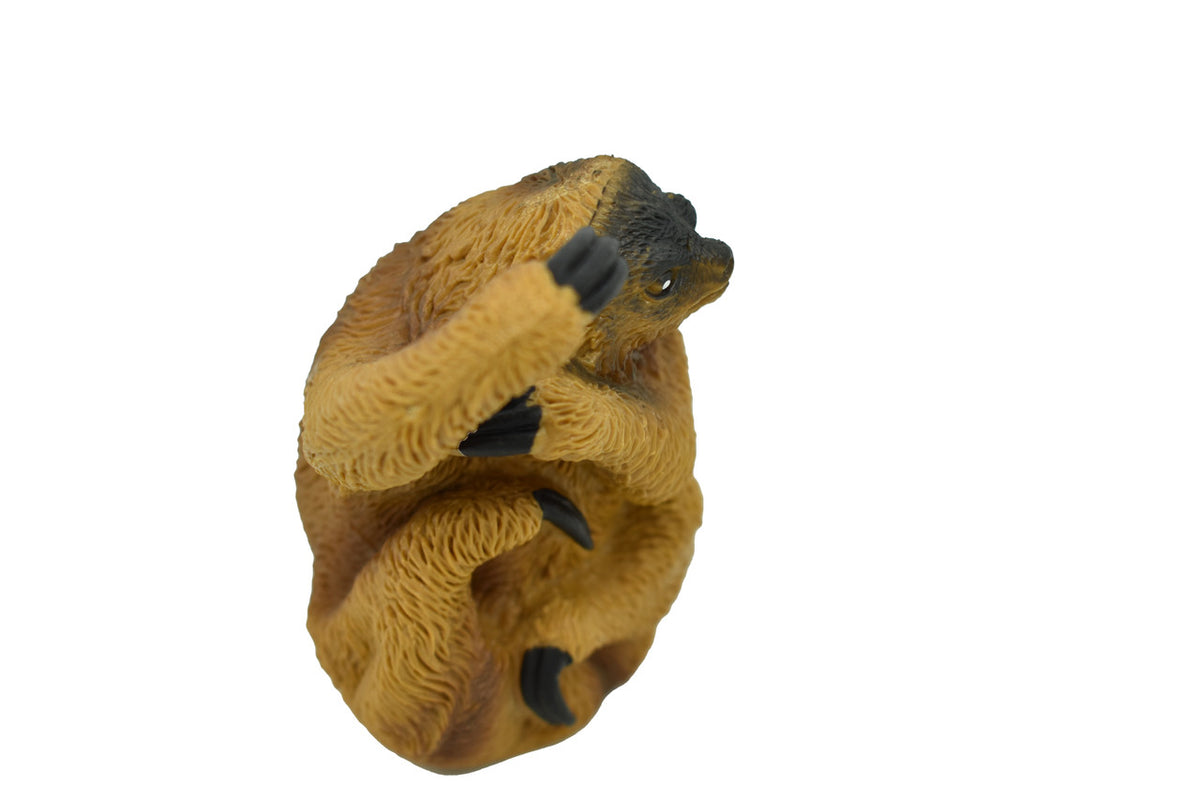 Sloth Three-toed, Bradypus, Very Nice Design, Hand Painted, Rubber Animal, Educational, Diorama Model, Realistic Figure, Figurine, Gift,  3 Inches. 