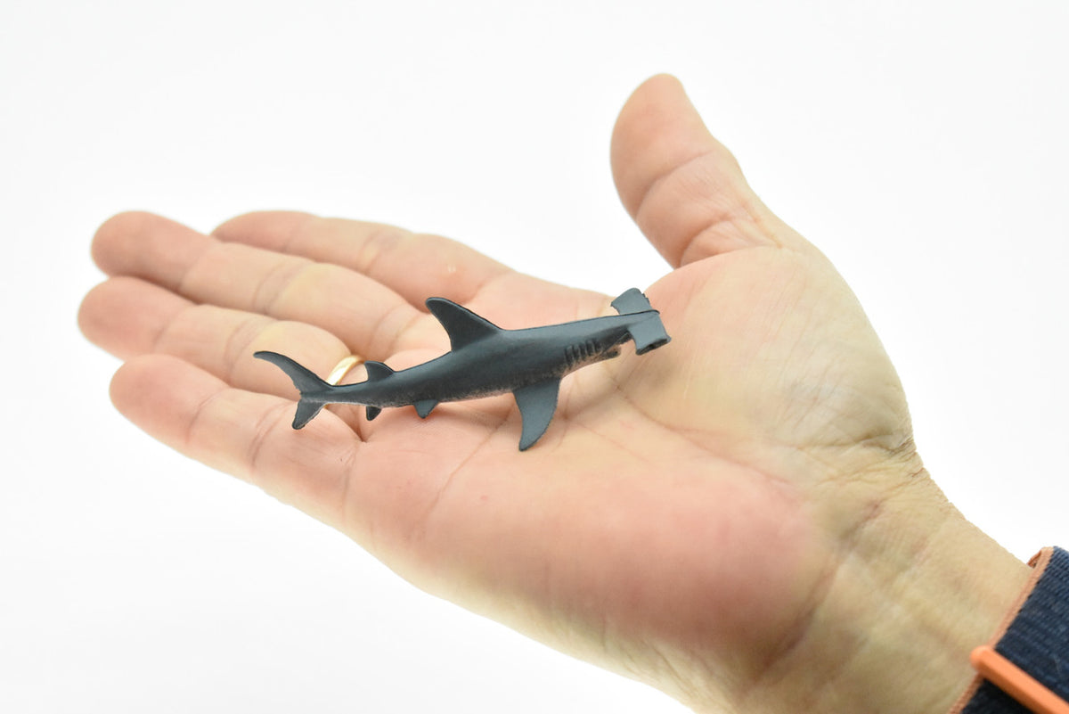 Hammerhead Shark, Curved, Very Nice Plastic Replica   3"   -   F234 B76
