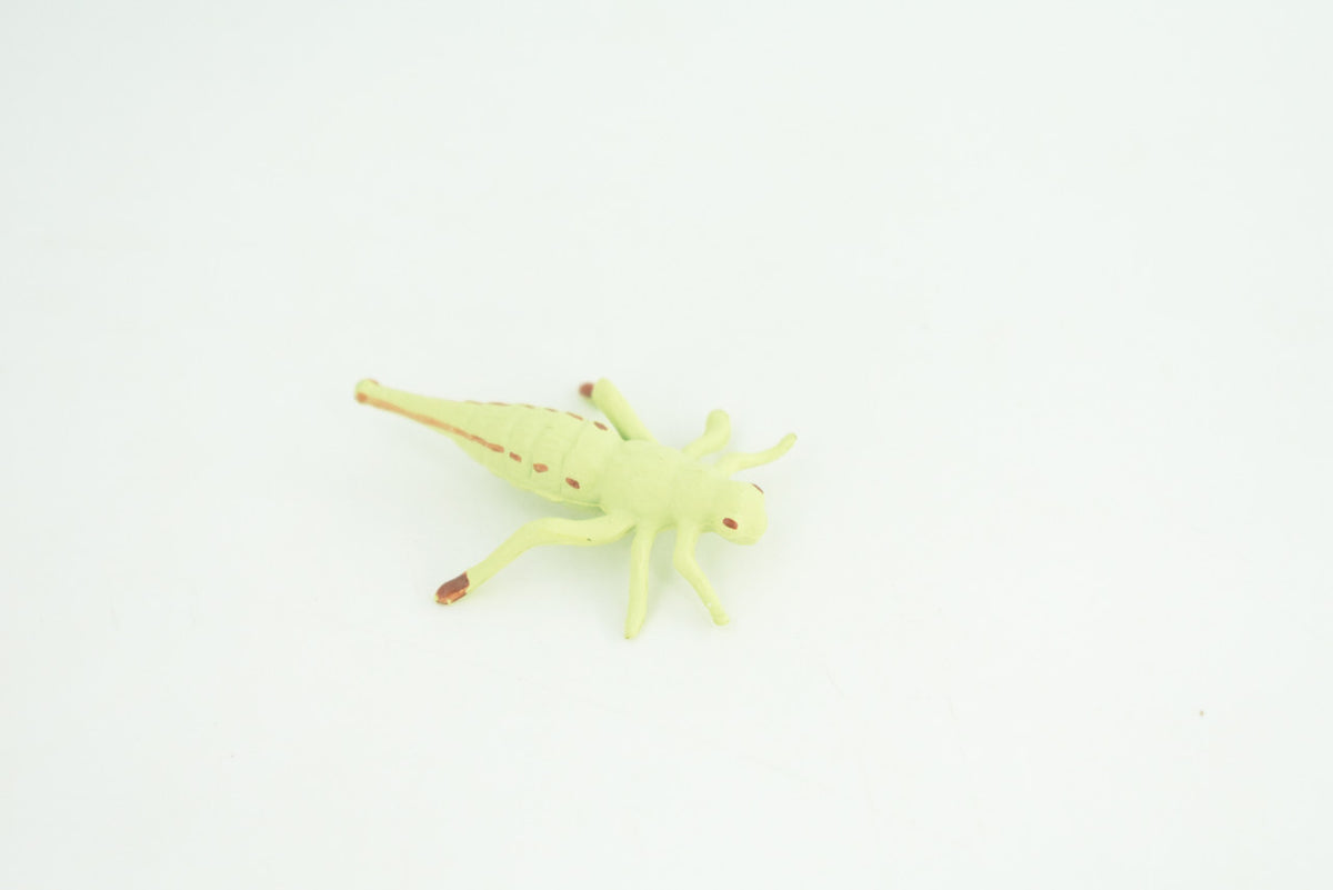 Dragonfly Life Cycle, 4 Piece Set, Hand Painted, Educational, High Quality Rubber Insect, Realistic, Diorama, Figure, Toys, Kids, Gift,  4  Inches.   CH981 BB214