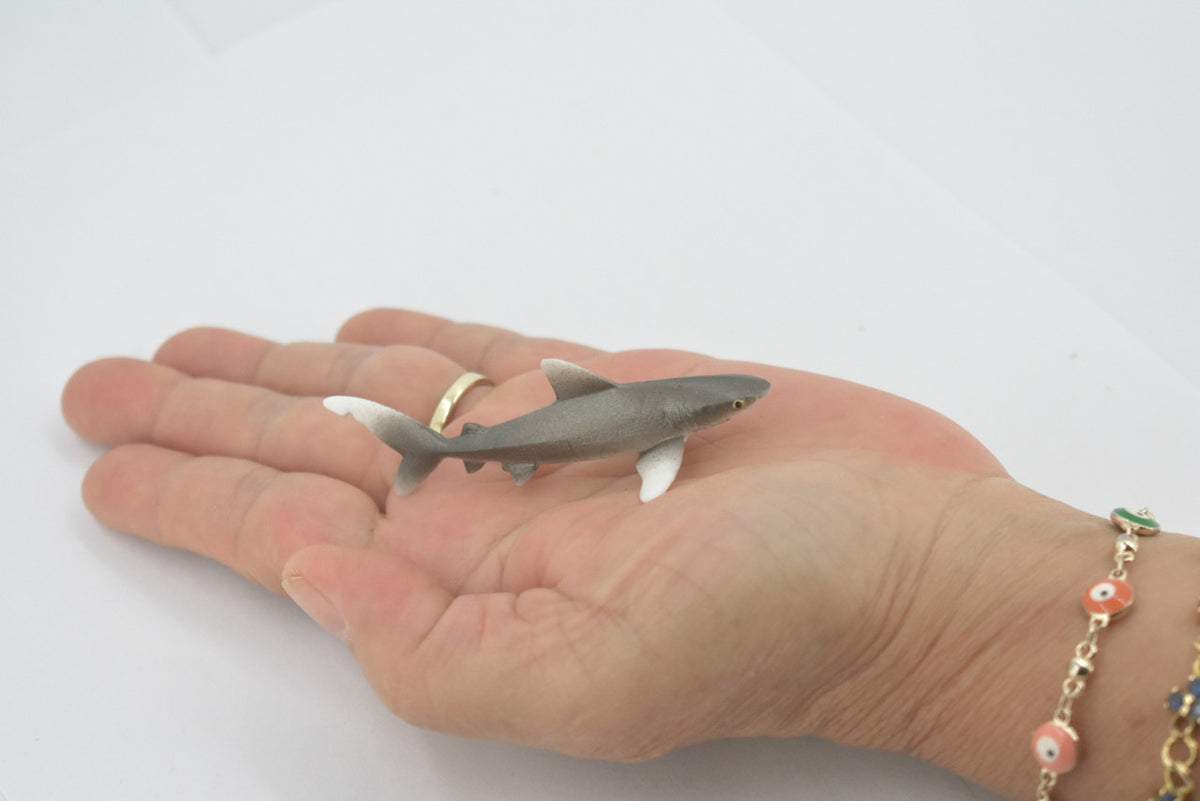 Shark, Oceanic Whitetip Shark, High Quality, Hand Painted, Rubber, Marine Fish, Realistic, Figure, Model, Toy, Kids, Educational, Gift,     3"      CH658 BB169