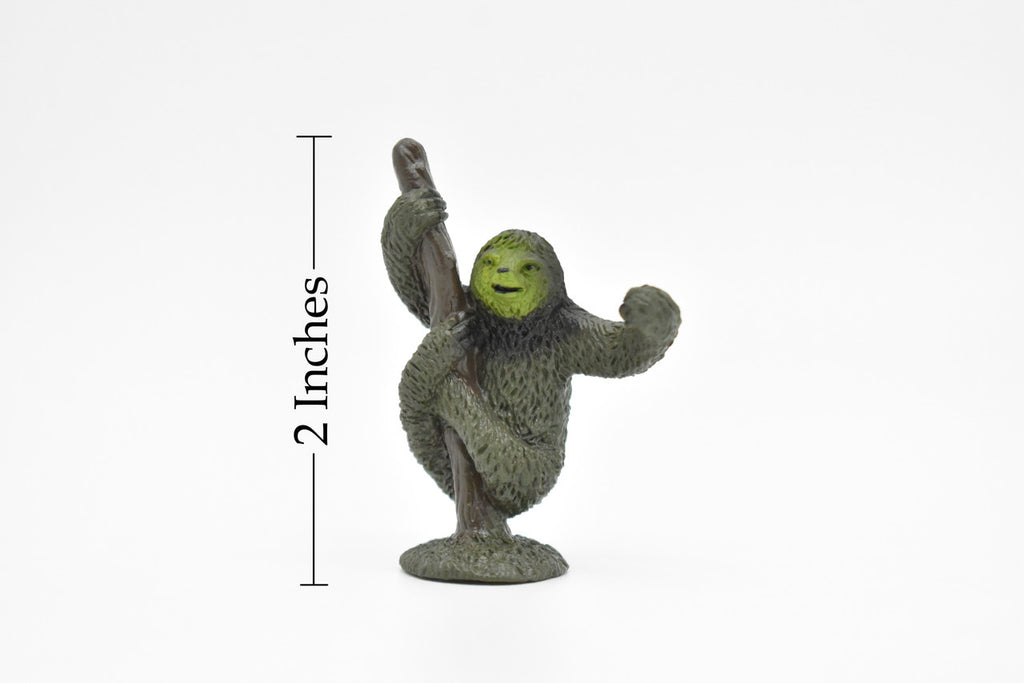 Sloth, Folivora, three-toed sloths, (Bradypodidae), Very Nice Plastic Animal, Hand Painted, Educational, Lifelike, Diorama Model, Toy, Kids,  2 Inches. 