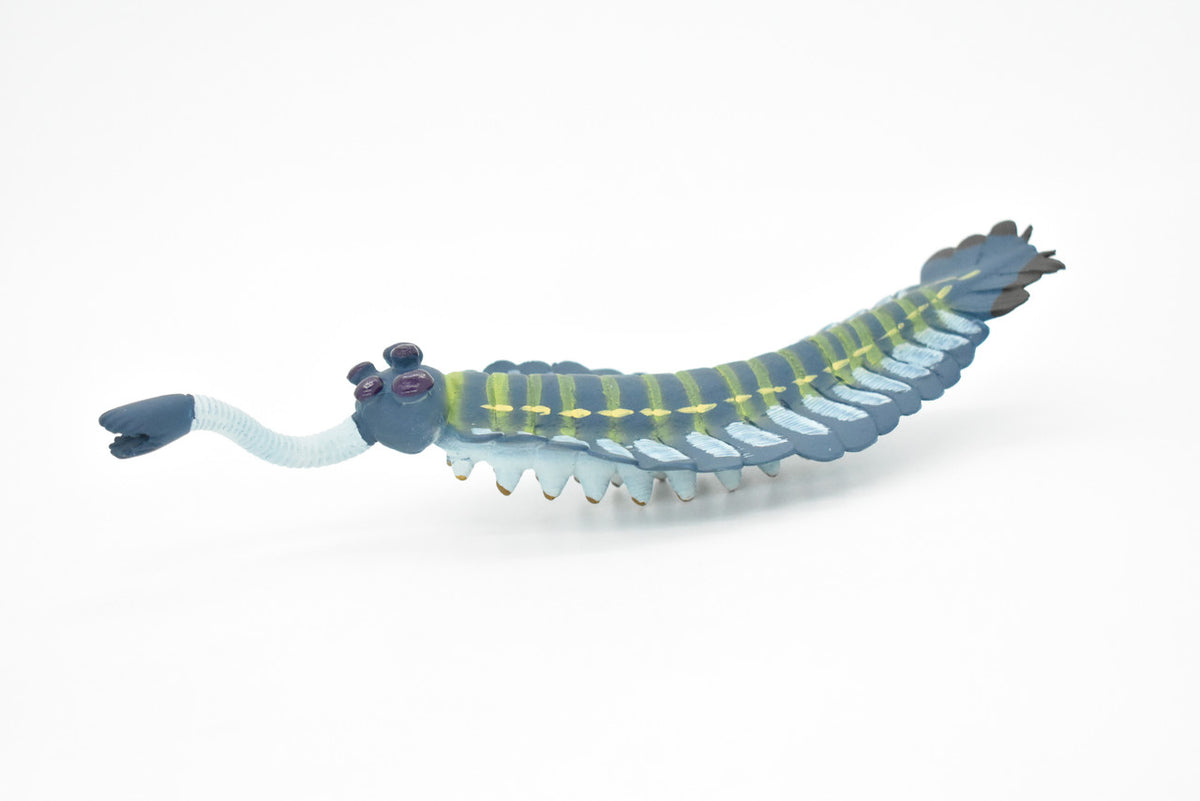 Opabinia, Prehistoric, Fossil, Museum Quality, Rubber Arthropods, Hand Painted, Realistic Toy Figure, Diorama Model, Kids, Educational,  7 Inches.