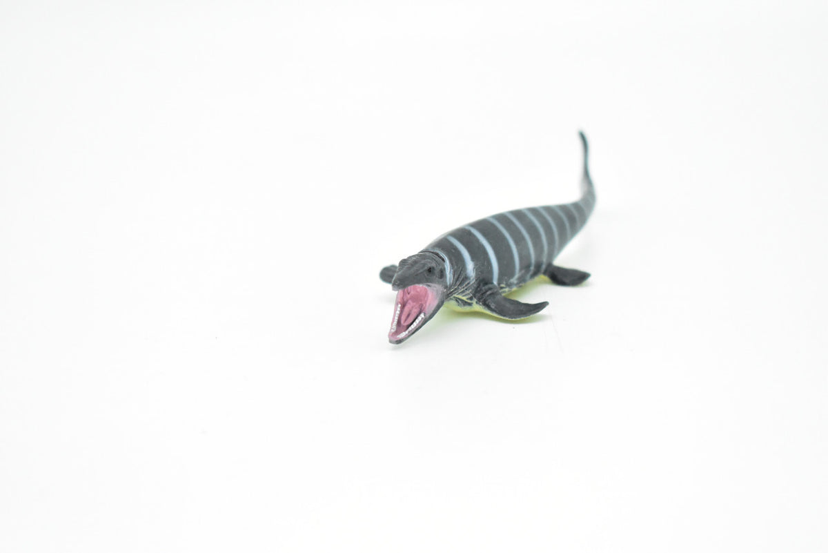 Mosasaurs Dinosaur, Museum Quality, Animal, Educational, Realistic Hand Painted, Figure, Lifelike Model, Vintage Replica, Toy, Gift,    4 Inches.     F8112 B117