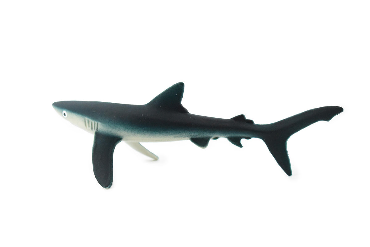 Blue Shark, Blue pointer, Museum Quality, Hand Painted, Educational, Rubber Fish, Diorama Model, Replica, Realistic Toy Figure, Kids,  5 Inches. 