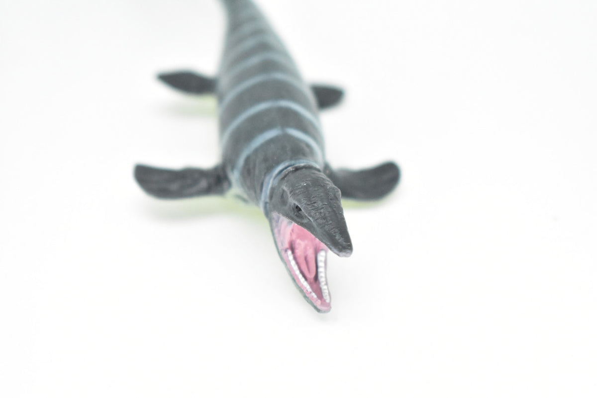 Mosasaurs Dinosaur, Museum Quality, Animal, Educational, Realistic Hand Painted, Figure, Lifelike Model, Vintage Replica, Toy, Gift,    4 Inches.     F8112 B117