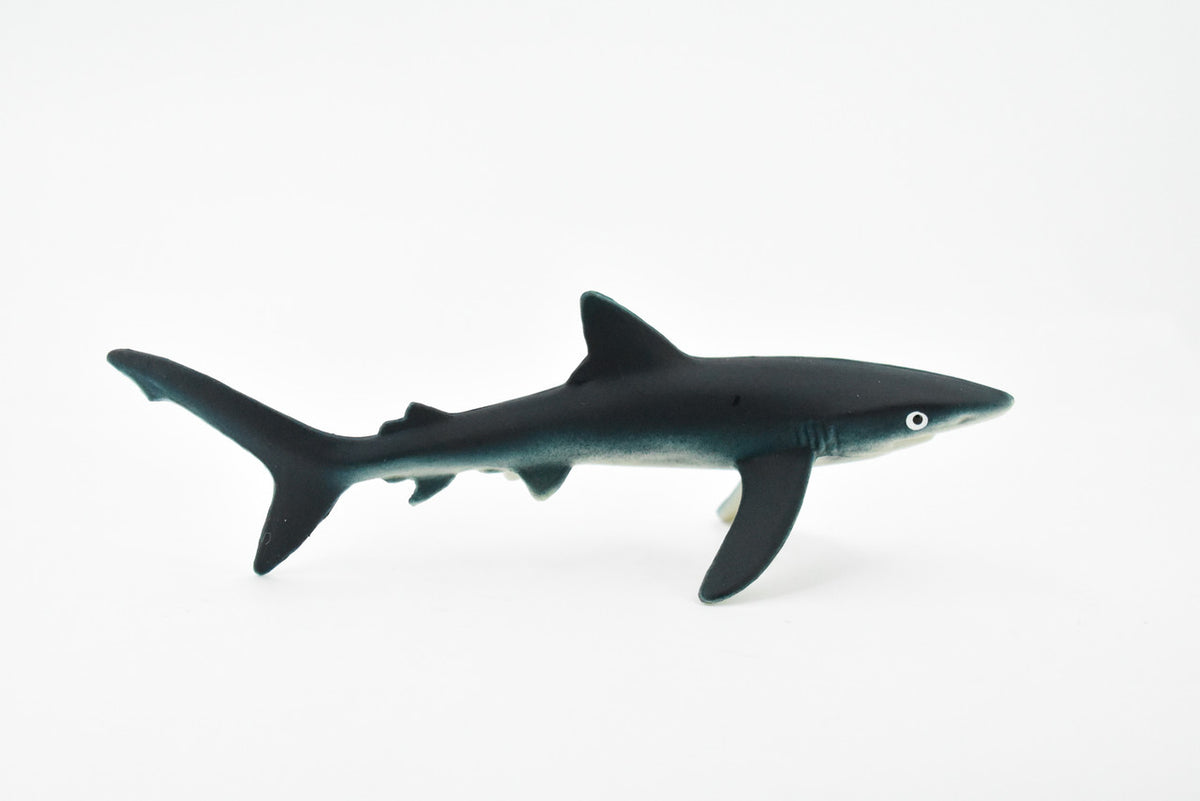 Blue Shark, Blue pointer, Museum Quality, Hand Painted, Educational, Rubber Fish, Diorama Model, Replica, Realistic Toy Figure, Kids,  5 Inches. 